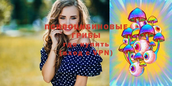 PSILOCYBIN Беломорск